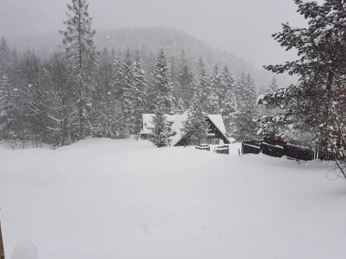 Uroczysko Lägenhet Wisła Exteriör bild